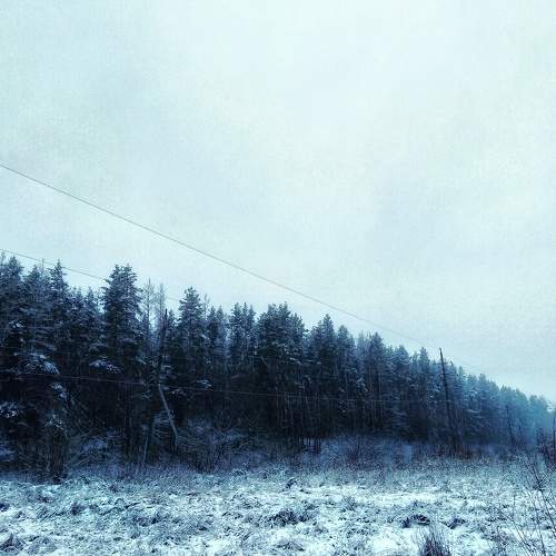 Photo #6898587