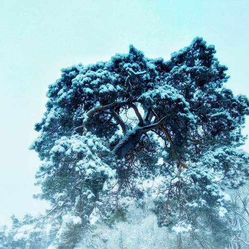 Photo #6898589