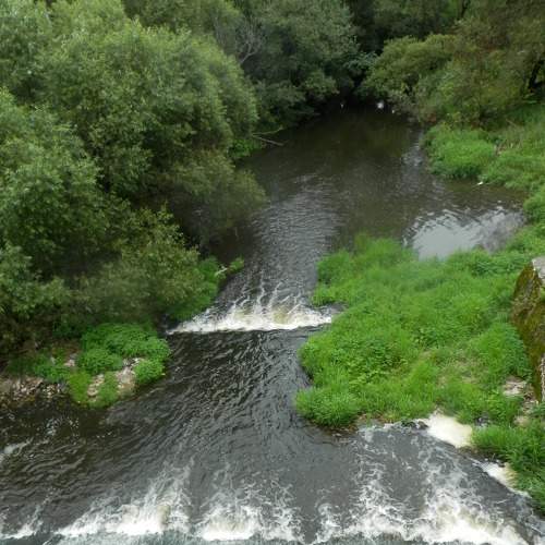 Photo #6898598
