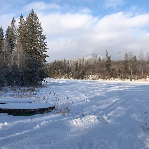 Photo #6898720