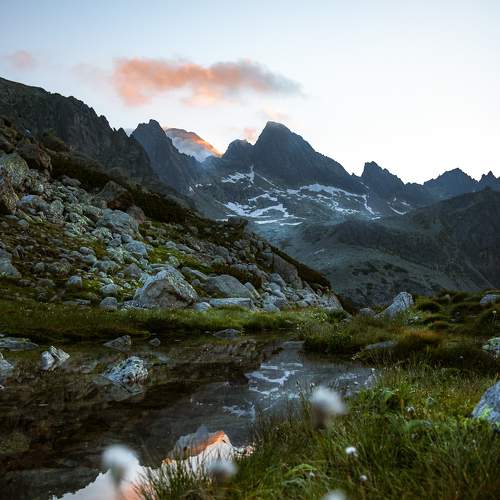 Photo #6898724