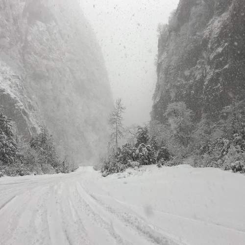 Photo #6898730