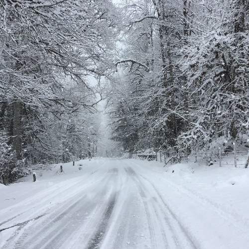 Photo #6898731