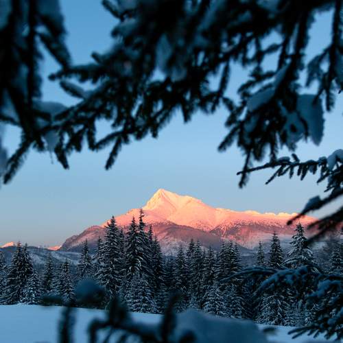 Photo #6898736
