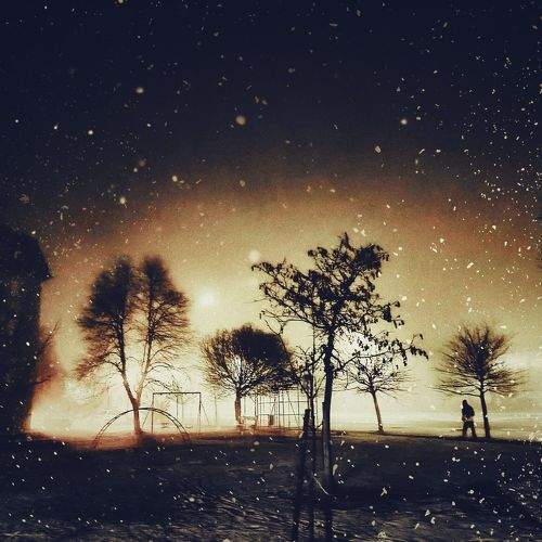 Photo #6898819