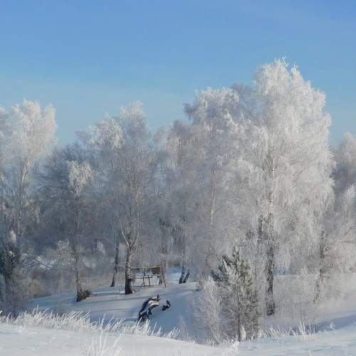 Photo #6898913