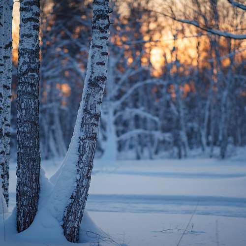 Photo #6898925