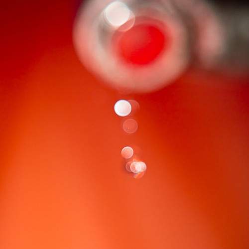 Photo #6899036