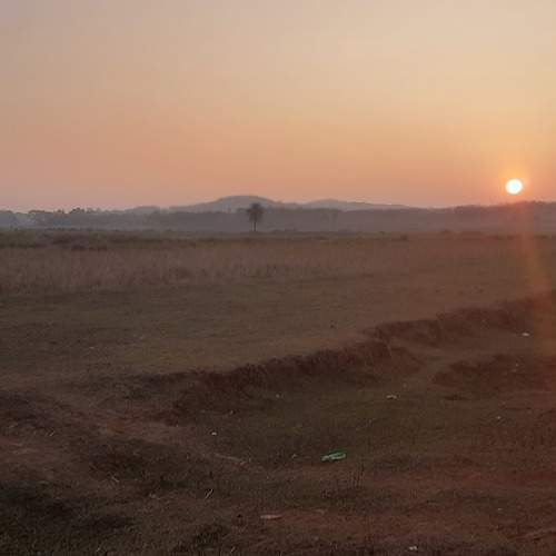 Photo #6899216