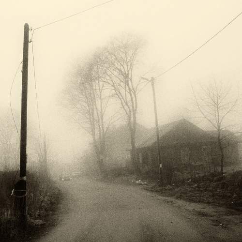 Photo #6899467