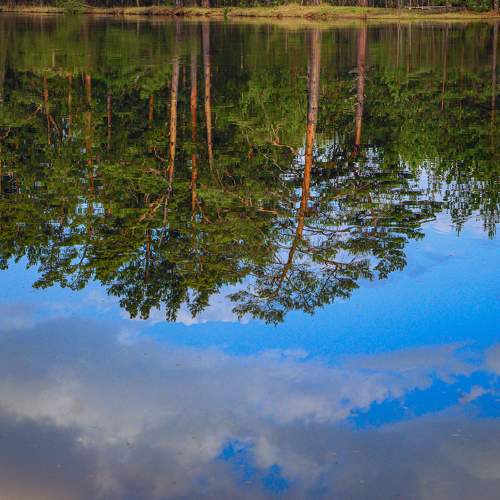 Photo #6899808