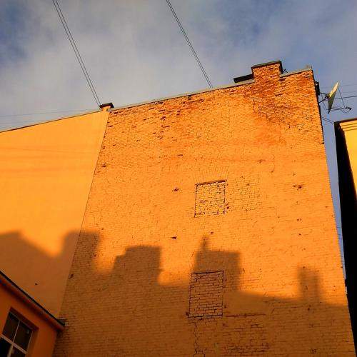 Photo #6900233