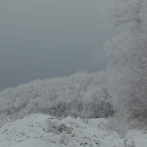 Photo #6900929