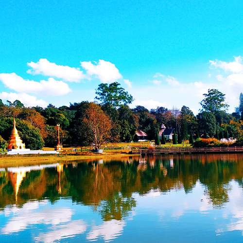 Photo #6900934