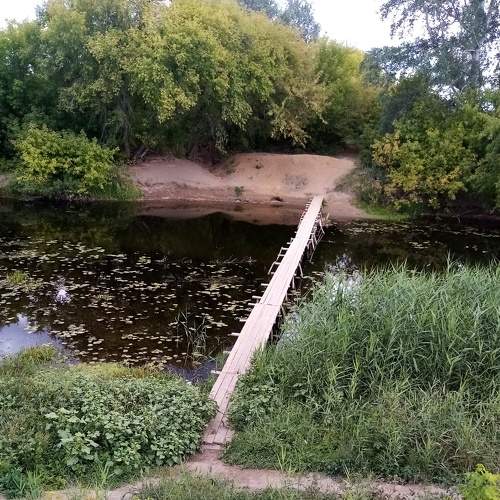 Photo #6900952
