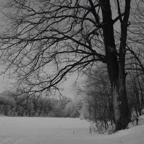 Photo #6900968