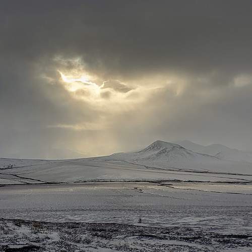 Photo #6901071