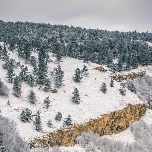 Photo #6901106