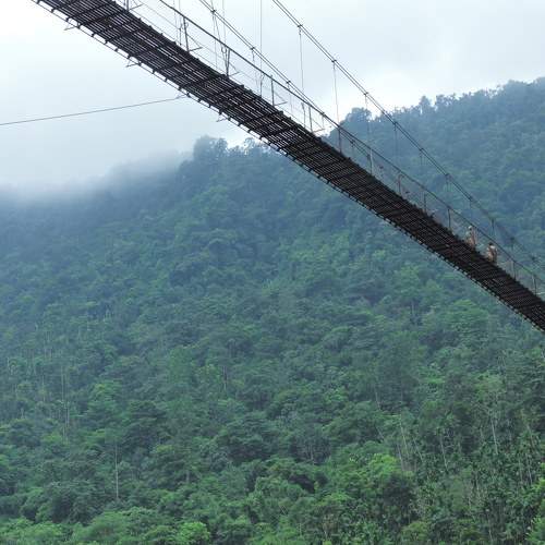 Photo #6901148