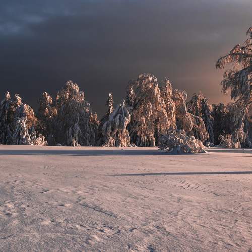 Photo #6901254