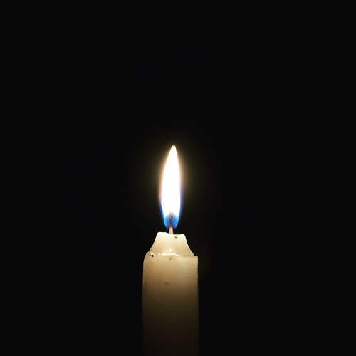 Photo #6901303