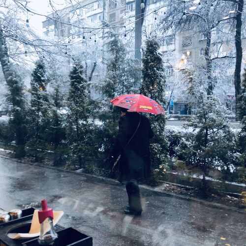 Photo #6901308
