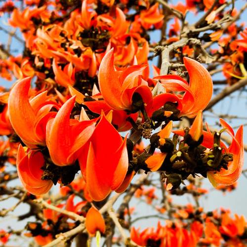 Photo #6901319