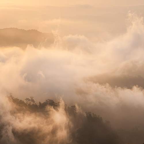Photo #6901703