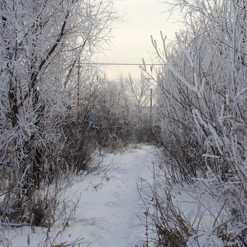 Photo #6901803