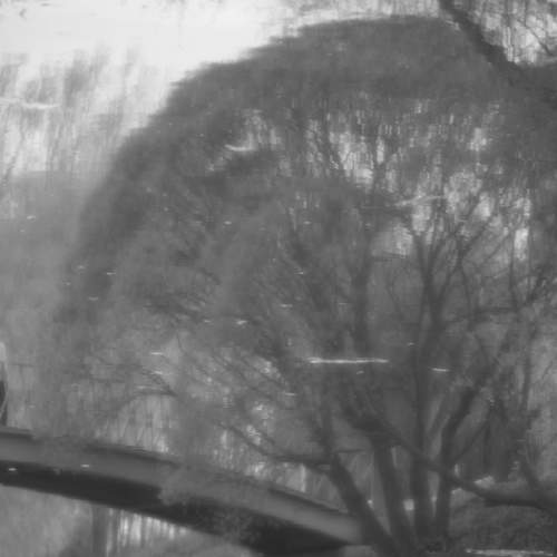 Photo #6902008