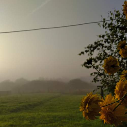 Photo #6902320