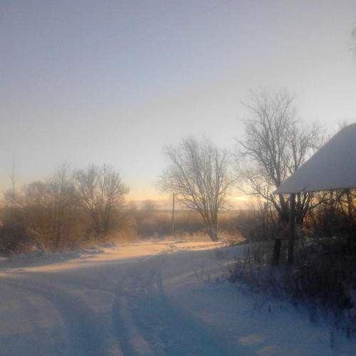 Photo #6902350