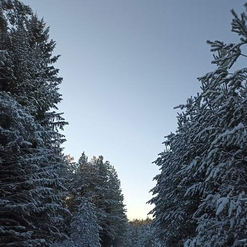 Photo #6902355