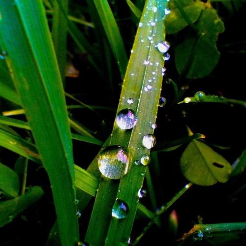 Photo #6902403