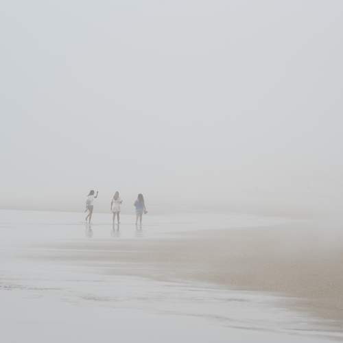 Photo #6902569