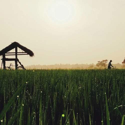 Photo #6902813