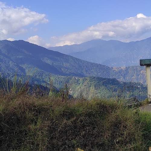 Photo #6903193