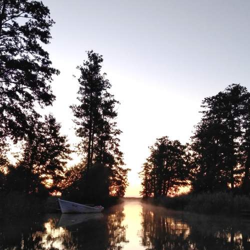 Photo #6903281