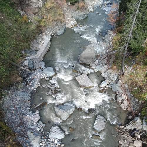 Photo #6903290