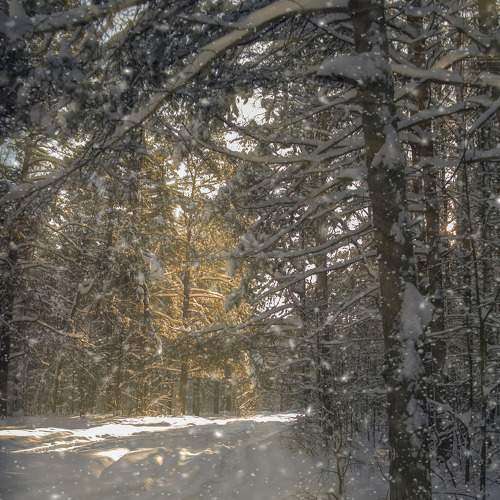 Photo #6903293
