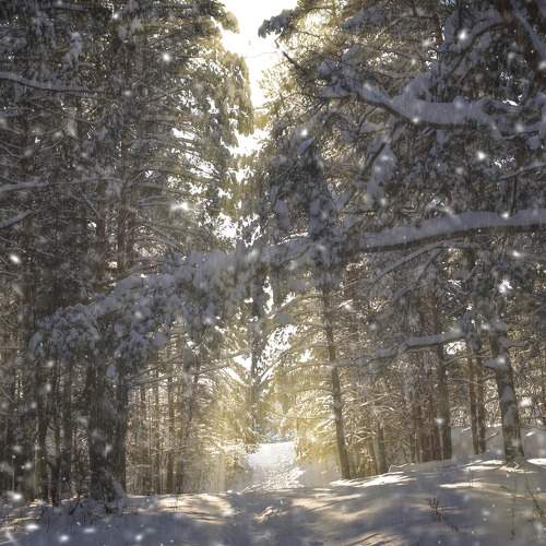 Photo #6903294