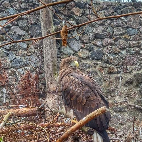 Photo #6903324