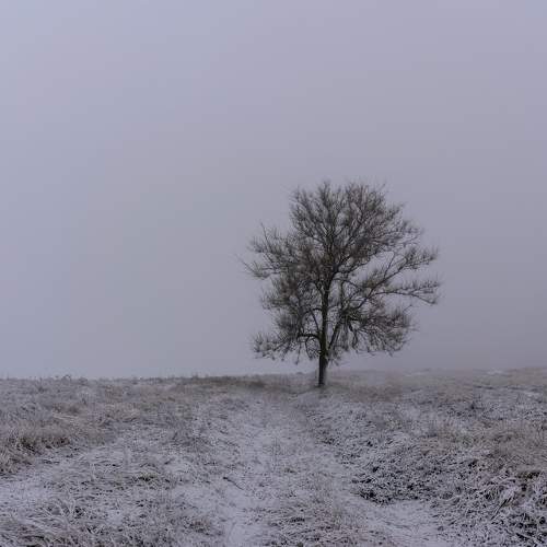 Photo #6903361