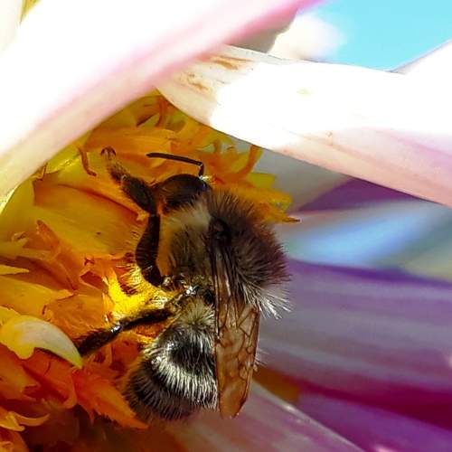 Photo #6903684