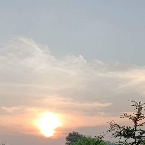 Sunrise moments pic