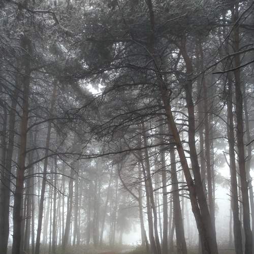 Photo #6903946