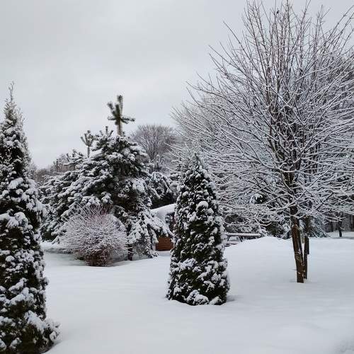 Photo #6903979