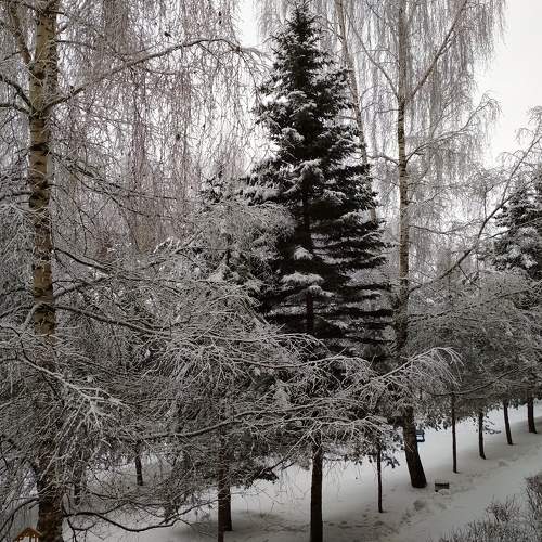 Photo #6903984