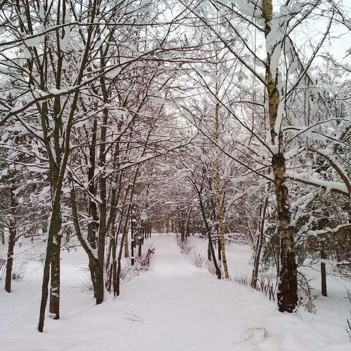 Photo #6903993