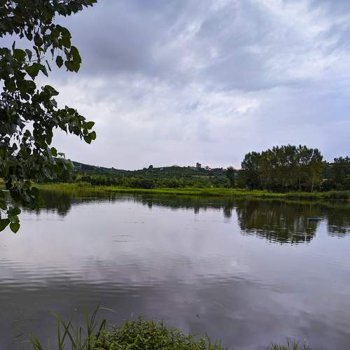 Photo #6904172